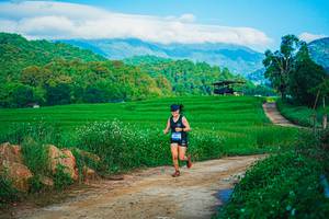 BIB: 
                            <button type="button" onclick="openModal(25042301)" class="btn btn-primary btn-sm float-right btn-popup" data-toggle="modal" data-target=".modal-high-quality">
                        <i class="fas fa-shopping-cart"></i> Add to Cart
                    </button>
                                            <button type="button" onclick="isThisMe(25042301, true)" class="btn btn-success btn-sm float-right btn-popup btn-isme hidden" data-toggle="tooltip" data-placement="bottom" title="นี่คือรูปของคุณใช่ไหม คลิกที่นี่เพื่อเอาเข้าอัลบั้ม">
                        <i class="fas fa-plus"></i> Add to album
                    </button>
                    <button type="button" onclick="isThisMe(25042301, false)" class="btn btn-warning btn-sm float-right btn-popup btn-isnotme hidden">
                        <i class="fas fa-ban"></i> Remove from album
                    </button>